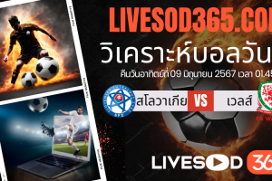 ทีเด็ดวิเคราะห์บอลประจำวันอาทิตย์ กระชับมิตรทีมชาติ สโลวาเกีย -vs- เวลส์