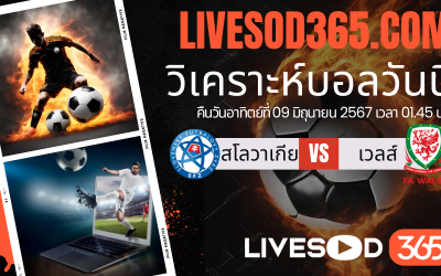 ทีเด็ดวิเคราะห์บอลประจำวันอาทิตย์ กระชับมิตรทีมชาติ สโลวาเกีย -vs- เวลส์